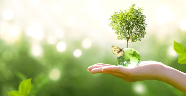 Biological Resources and Related Legislation