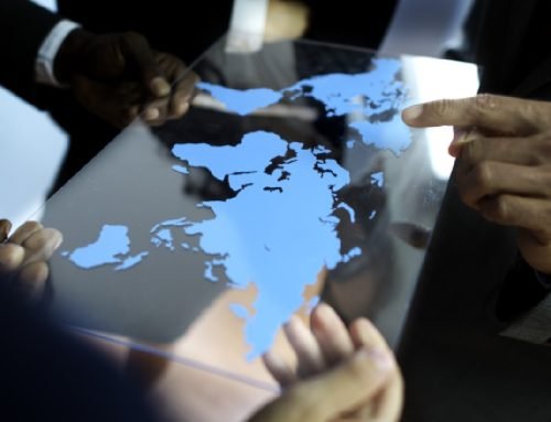 Employment of Expats in India