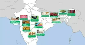 Geographical Indications